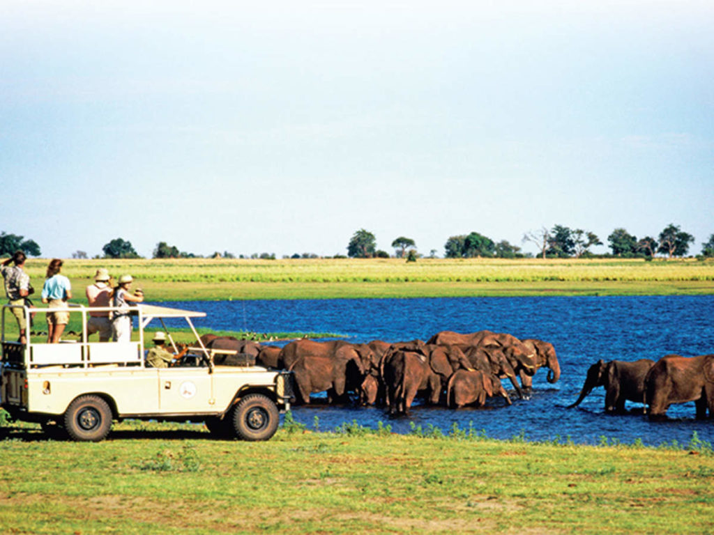 safari guiados no parque nacional do etosha